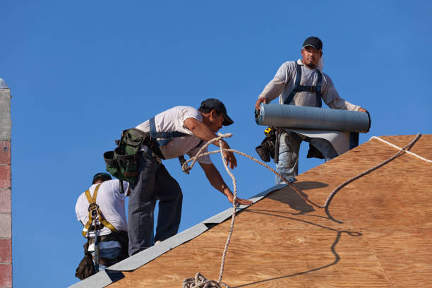 Best Roof Leak Repair  in Mccla, AL